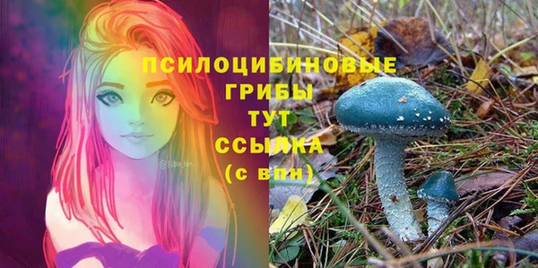гидропоника Заводоуковск
