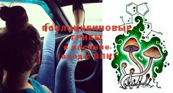 гидропоника Заводоуковск