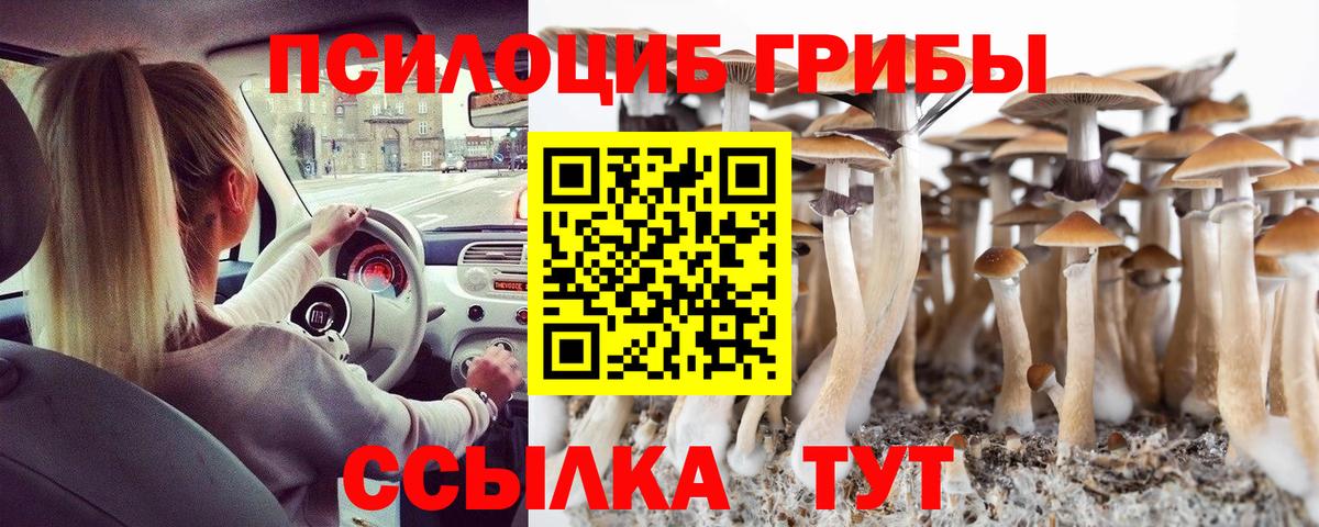 Псилоцибиновые грибы мухоморы Саяногорск